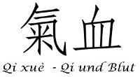 Qi Xue - Qi und Blut